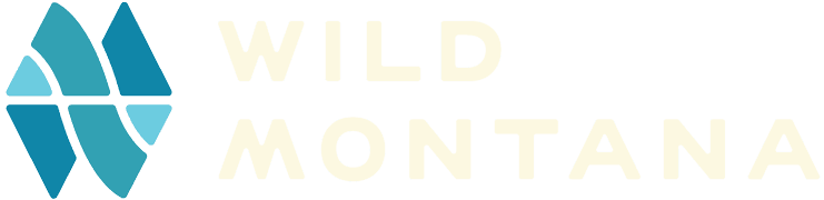 Wild Montana logo